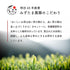 粗加工 Hachijuhachiya 深蒸煎茶 100g 新茶 2023